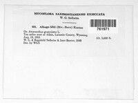 Image Associated With the Occurence